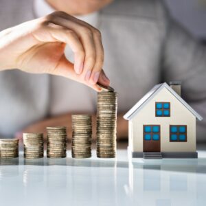 person putting investments into a house
