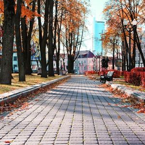 A walking path in a city in Alberta, Canada